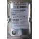 HDD SAMSUNG 160GB ST160DM002